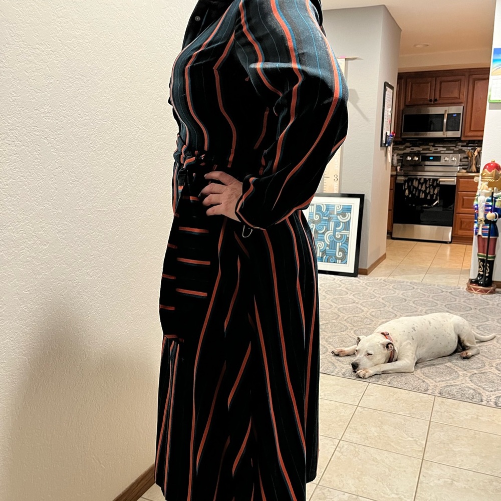 Striped Button-Up Dress - Picture 4 of 12